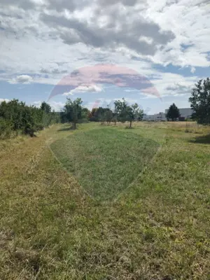 Teren de vânzare în Tautii-Magheraus / Strada 66 - imagine 3