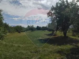 Teren de vânzare în Tautii-Magheraus / Strada 66