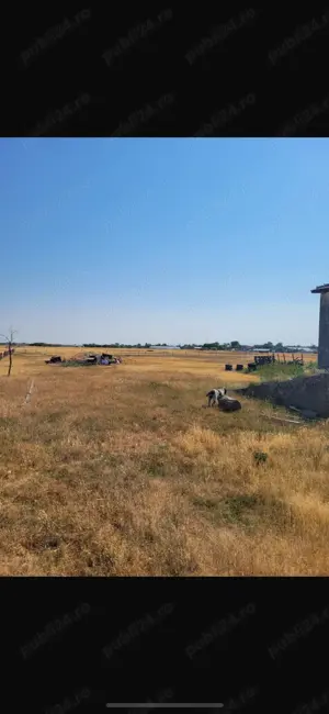 Vand hala 600 mp cu teren intravilan 9000 mp - imagine 2