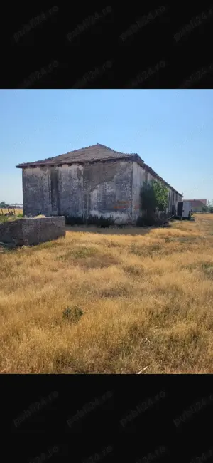 Vand hala 600 mp cu teren intravilan 9000 mp - imagine 5