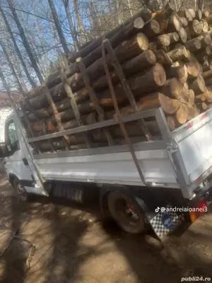 Lemne foc   - imagine 2