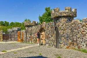 Dominare Profesionala - Primul Castel BDSM din lume - Singura Dominatoare Profesionista din Ardeal - imagine 7