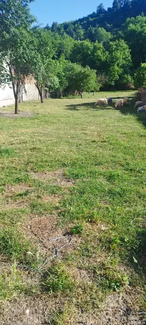 teren de vanzare - imagine 3