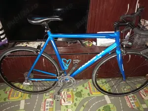 Cursieră Muddyfox Race 2x8s