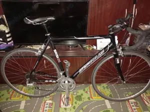 Cursieră Serious SRS 3x8s