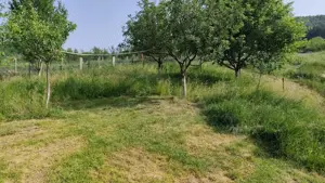 Vând teren intravilan 500mp, proiect aprobat și autorizație valabilă, utilități   Nicula, jud. Cluj  - imagine 5