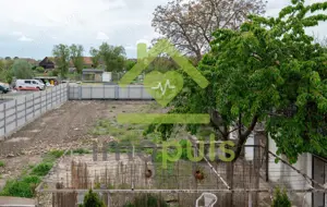 Casă individuală, 6 camere, garaj și teren generos – Jimbolia✨ - imagine 8