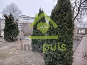 Casă individuală, 6 camere, garaj și teren generos – Jimbolia✨ - imagine 9