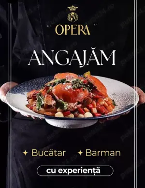 Angajam ospatar,  barman, bucatar, personal vase curatenie - imagine 2 Angajam ospatar,  barman, bucatar, personal vase curatenie - imagine 2