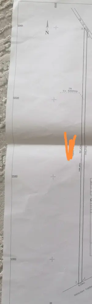 Teren intravilan agricol Cernica Caldararu - imagine 3