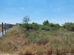 Vând teren intravilan în Milcovu din Deal 2250 de metri pătrați - imagine 2