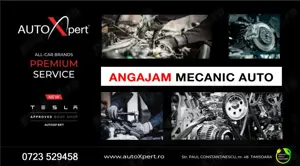  AutoXpert Timisoara angajeaza  mecanic auto