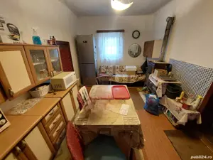 Vand casa batraneasca langa Lugoj  - imagine 5