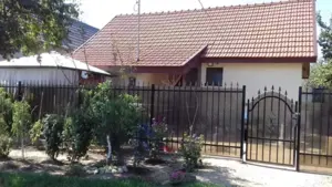 Casă de vînzare padureni timis 