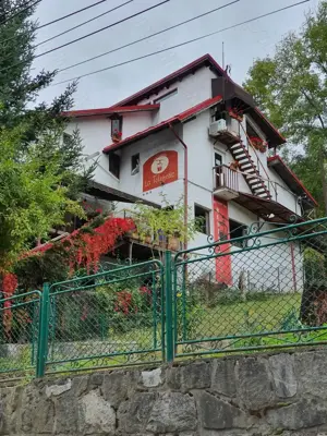 OCAZIE UNICĂ: Casă cu grădină în cel mai bun loc din Sinaia! Rezidențial sau Pensiune - Restaurant - imagine 6