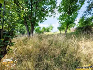 Casa traditionala din lemn, cu sura din piatra, Arcus, Covasna. - imagine 10