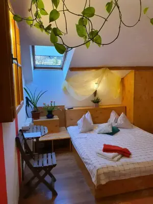 OCAZIE UNICĂ: Casă cu grădină în cel mai bun loc din Sinaia! Rezidențial sau Pensiune - Restaurant - imagine 9