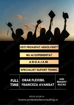 Specialist Support Tehnic cu limba franceza