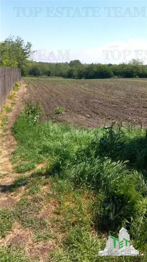 Teren Stanesti - Giurgiu, intravilan, drum asfaltat, gaz, curent - imagine 3