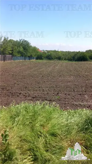 Teren Stanesti - Giurgiu, intravilan, drum asfaltat, gaz, curent - imagine 2