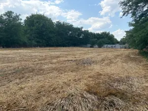 Teren intravilan 2580 mp - Hagiesti - imagine 2