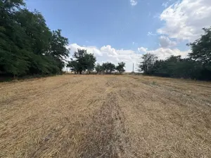 Teren intravilan 2580 mp - Hagiesti - imagine 3