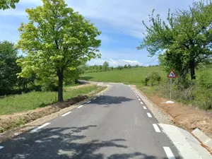 Vând Teren cu Conac 