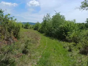 Vând Teren cu Conac  - imagine 3