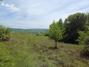 Vând Teren cu Conac  - imagine 4