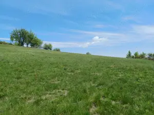 Vând Teren cu Conac  - imagine 5