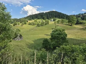 Teren de vanzare  Fundata - Brasov - imagine 2