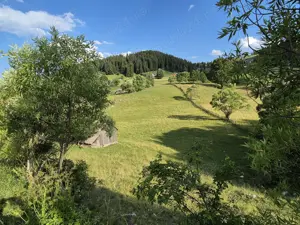 Teren de vanzare  Fundata - Brasov - imagine 3