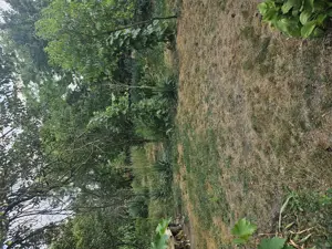 Casa de vanzare + teren ieftina - imagine 10