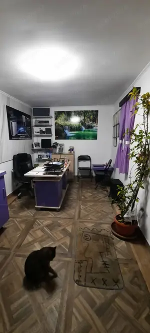 Unic proprietar  vând casă cu teren generos! OPORTUNITATE pentru INVESTIȚII! - imagine 8