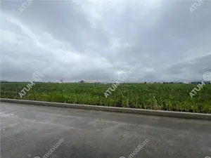 Teren intravilat de 9000 mp cu PUZ situat in zona Industriala Vest - imagine 5