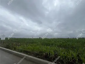 Teren intravilat de 9000 mp cu PUZ situat in zona Industriala Vest - imagine 2