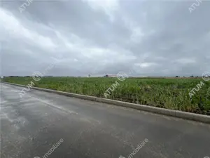 Teren intravilat de 9000 mp cu PUZ situat in zona Industriala Vest - imagine 8