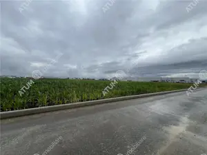 Teren intravilat de 9000 mp cu PUZ situat in zona Industriala Vest - imagine 4