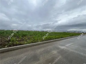 Teren intravilat de 36122 mp cu PUZ situat in zona Industriala Vest