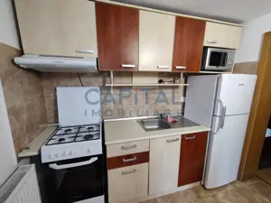 Vanzare garsoniera in cladire particulara, zona Campului - imagine 5