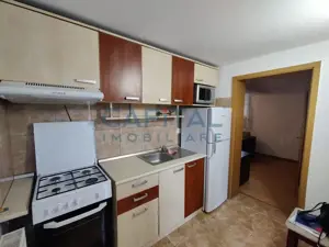 Vanzare garsoniera in cladire particulara, zona Campului - imagine 3