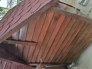 Vand cotet caine talia mare - imagine 3