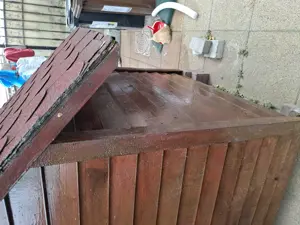 Vand cotet caine talia mare - imagine 4