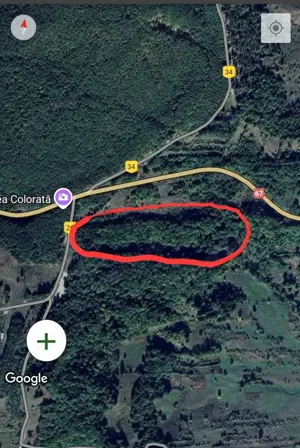 Padure de vanzare - 1,5Ha