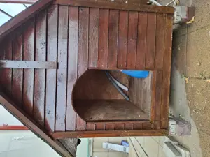 Vand cotet caine talia mare - imagine 5