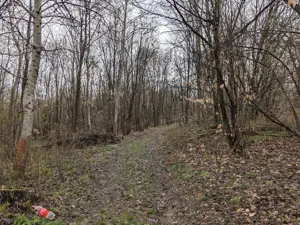 teren de vanzare tautii