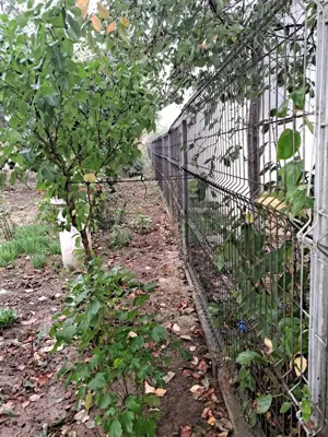 Teren de vânzare Periș  - imagine 4