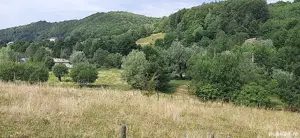 Pământ 3000mp intravilan Nămăești, cabană, proiect casă, izvor, munte - imagine 6