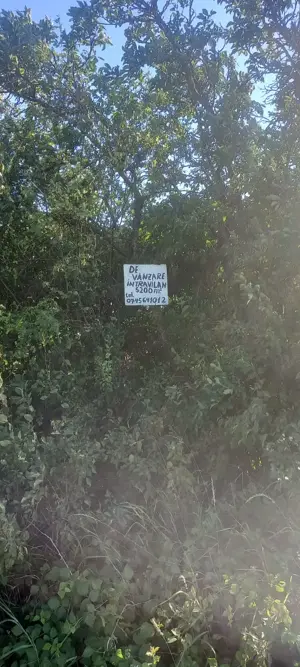 Teren intravilan de vanzare - imagine 3