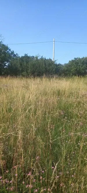 Teren intravilan de vanzare - imagine 2